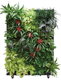 planters-containers-livingwall