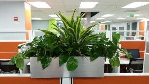 Call Center Cubicle Top Indoor Planter Boxes