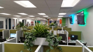 Call Center Cubicle Topsiders Plants
