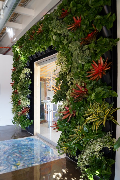 Living Wall Vertical Green Wall Plant Wall - Plantopia - Interior Plant ...