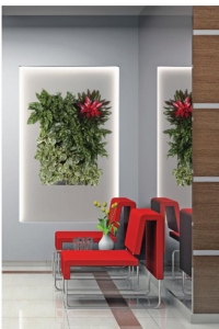 Living Wall Plant Portrait - with chairs