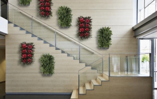 Plant Portraits on Stairs