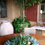 Rancho-Pacifica-Estate-Home-Indoor-Plants (2)