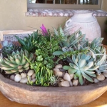 Rancho-Pacifica-Estate-Home-Indoor-Plants (4)