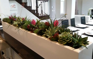 Residential-Interior-Plants-Succulents