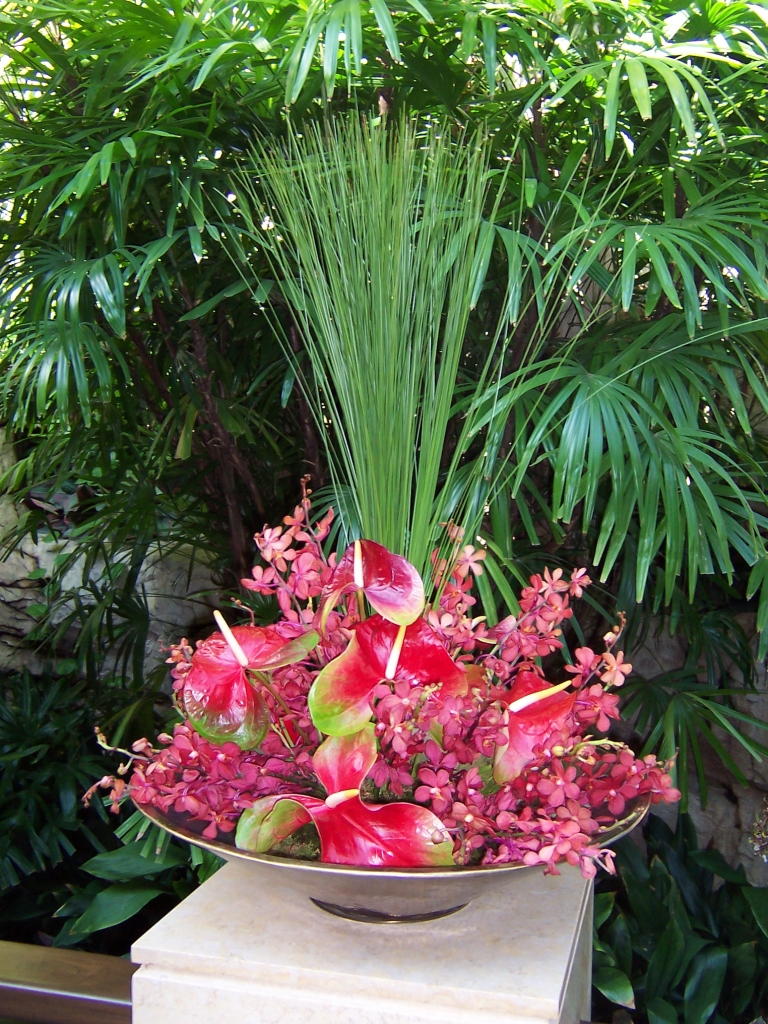 Resort Flowers - Plantopia - Interior Plant Service