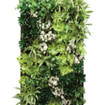 Living Wall Indoor Plants 2