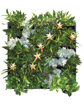 Living Wall Indoor Plants 3