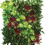 Living Wall Indoor Plants and Bromeliads