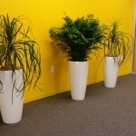 Tall Planters Trio - Modern Interior Plants