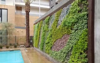 Green Wall, Garden Wall