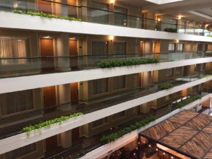 Embassy Suites - Floor Plants - Plantopia - Interior Plant Service - Louisville