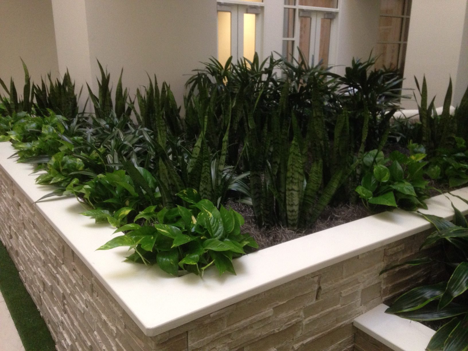 Indoor Garden - Plantopia - Interior Plant Service - Louisville