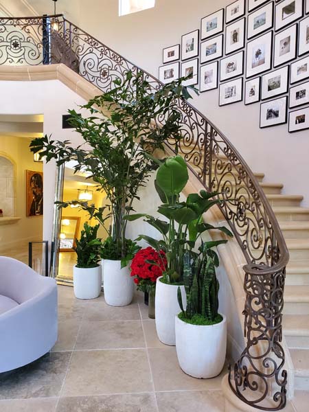 Interior Plants - Grand Entrance Staircase